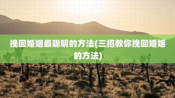 挽回婚姻最聪明的方法(三招教你挽回婚姻的方法)