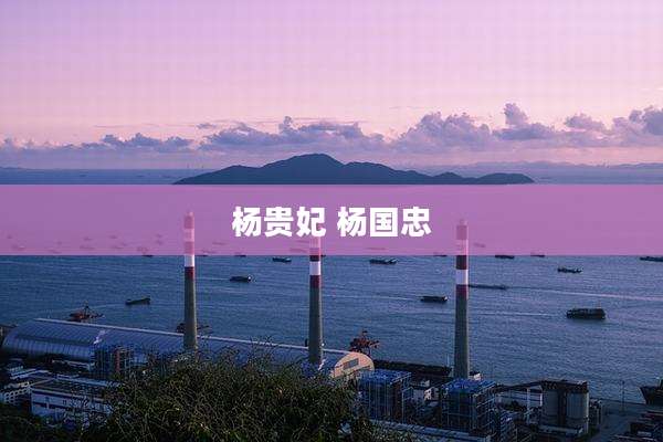 杨贵妃 杨国忠