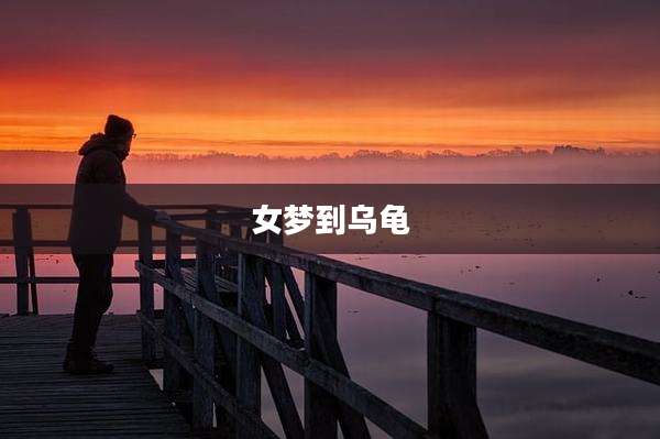 女梦到乌龟