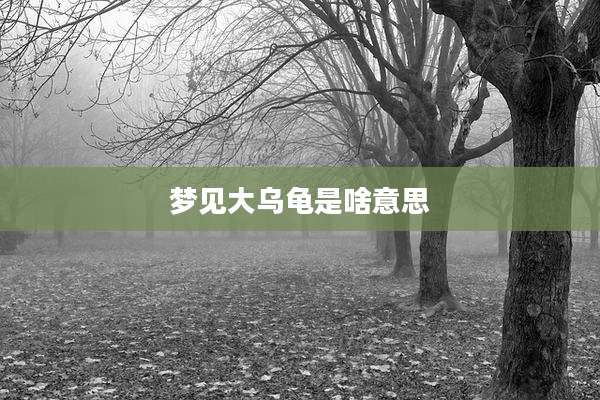 梦见大乌龟是啥意思