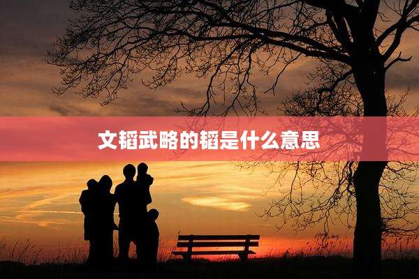 文韬武略的韬是什么意思