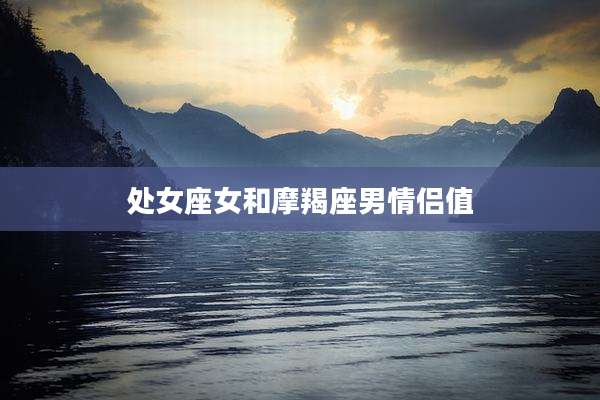 处女座女和摩羯座男情侣值