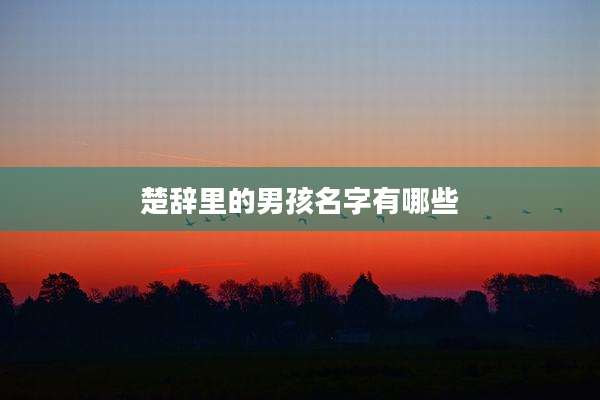 楚辞里的男孩名字有哪些