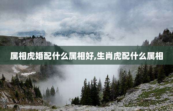 属相虎婚配什么属相好,生肖虎配什么属相