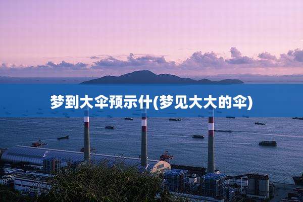 梦到大伞预示什(梦见大大的伞)