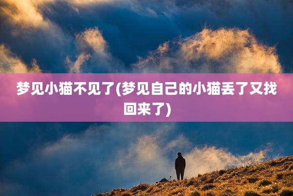 梦见小猫不见了(梦见自己的小猫丢了又找回来了)