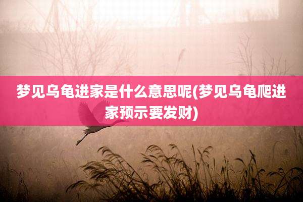梦见乌龟进家是什么意思呢(梦见乌龟爬进家预示要发财)