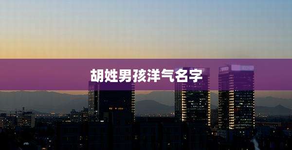 胡姓男孩洋气名字