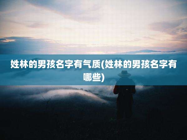 姓林的男孩名字有气质(姓林的男孩名字有哪些)