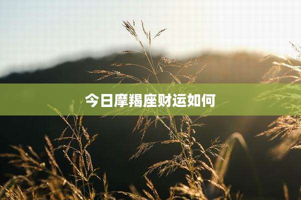 今日摩羯座财运如何
