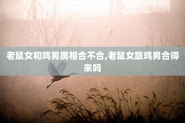 老鼠女和鸡男属相合不合,老鼠女跟鸡男合得来吗