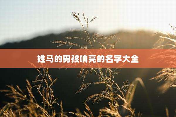 姓马的男孩响亮的名字大全