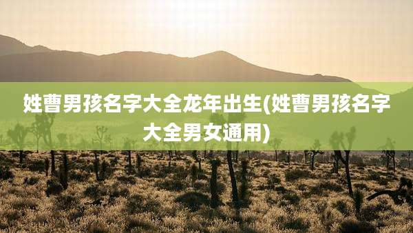 姓曹男孩名字大全龙年出生(姓曹男孩名字大全男女通用)