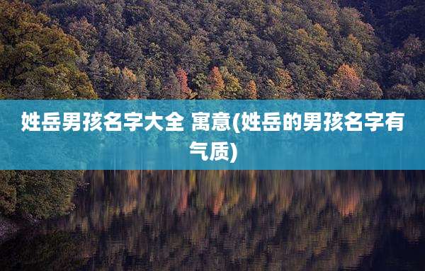 姓岳男孩名字大全 寓意(姓岳的男孩名字有气质)