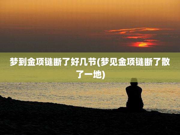 梦到金项链断了好几节(梦见金项链断了散了一地)
