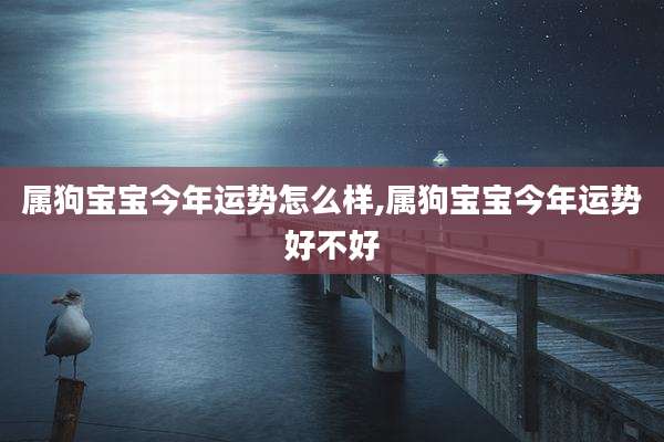 属狗宝宝今年运势怎么样,属狗宝宝今年运势好不好