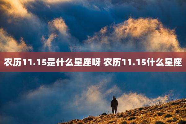 农历11.15是什么星座呀 农历11.15什么星座