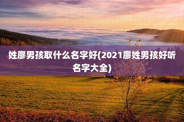 姓廖男孩取什么名字好(2021廖姓男孩好听名字大全)