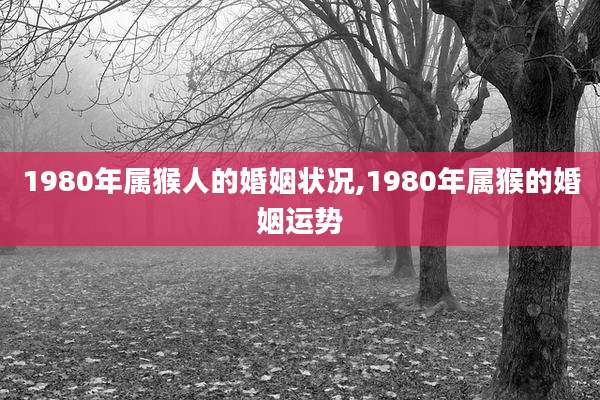 1980年属猴人的婚姻状况,1980年属猴的婚姻运势