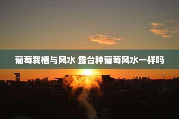 葡萄栽植与风水 露台种葡萄风水一样吗