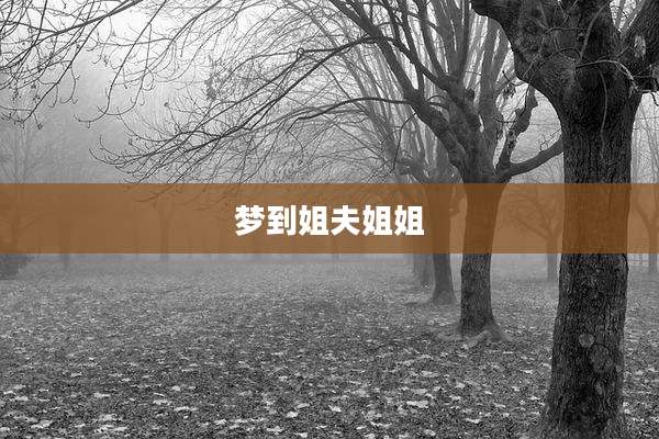 梦到姐夫姐姐