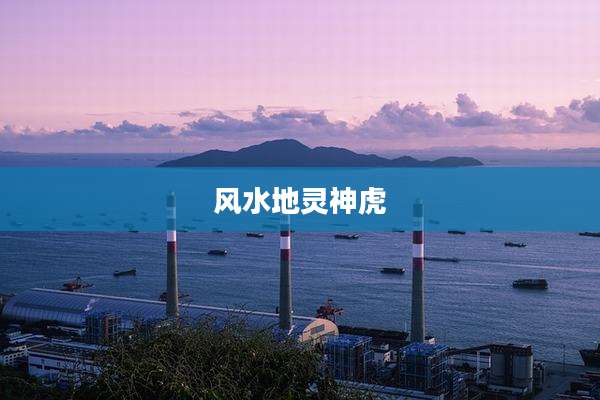 风水地灵神虎