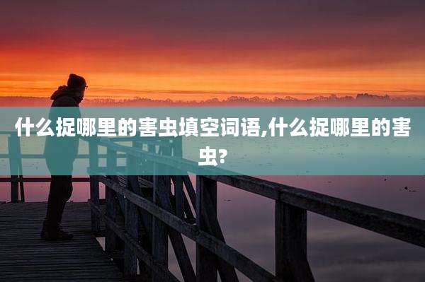 什么捉哪里的害虫填空词语,什么捉哪里的害虫?
