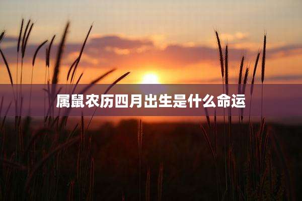 属鼠农历四月出生是什么命运