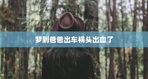 梦到爸爸出车祸头出血了
