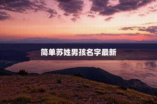 简单苏姓男孩名字最新