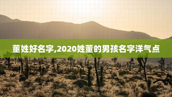 董姓好名字,2020姓董的男孩名字洋气点