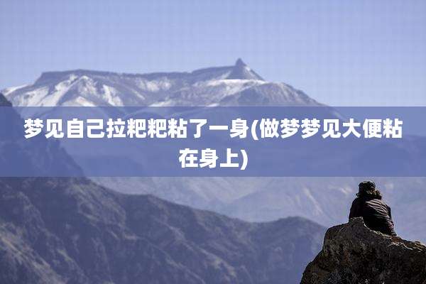 梦见自己拉粑粑粘了一身(做梦梦见大便粘在身上)