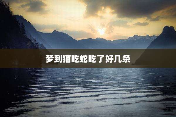 梦到猫吃蛇吃了好几条