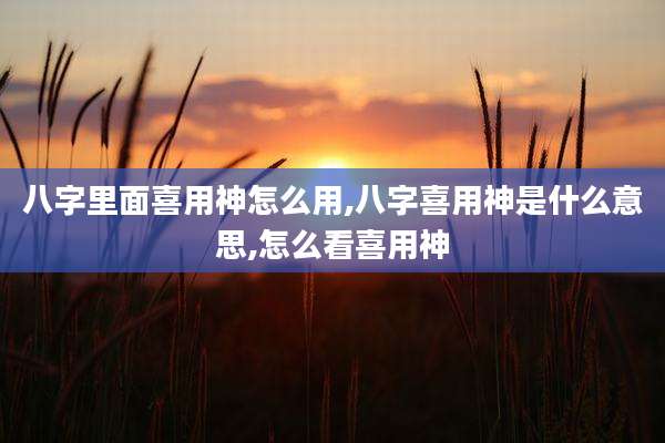 八字里面喜用神怎么用,八字喜用神是什么意思,怎么看喜用神