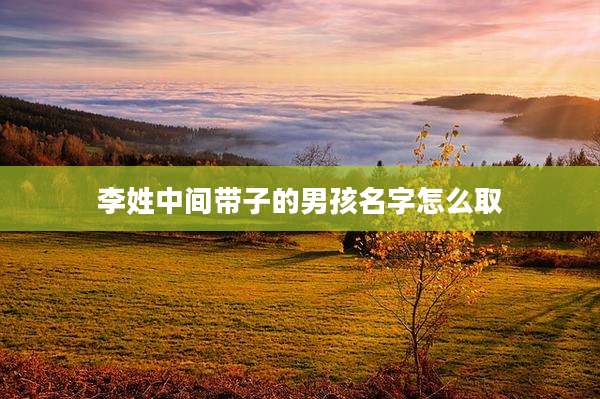 李姓中间带子的男孩名字怎么取