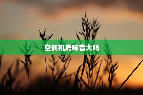 空调机房噪音大吗