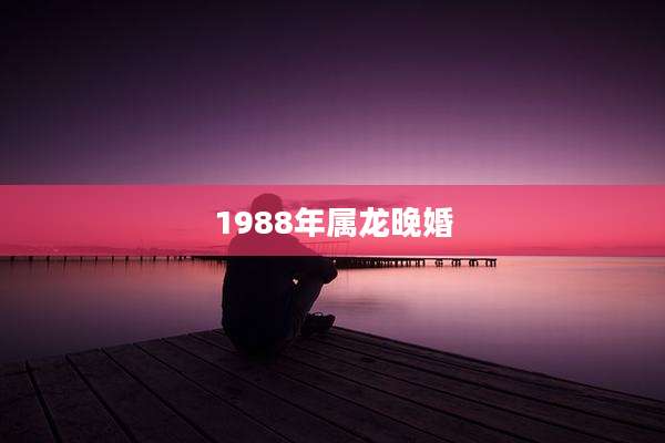 1988年属龙晚婚