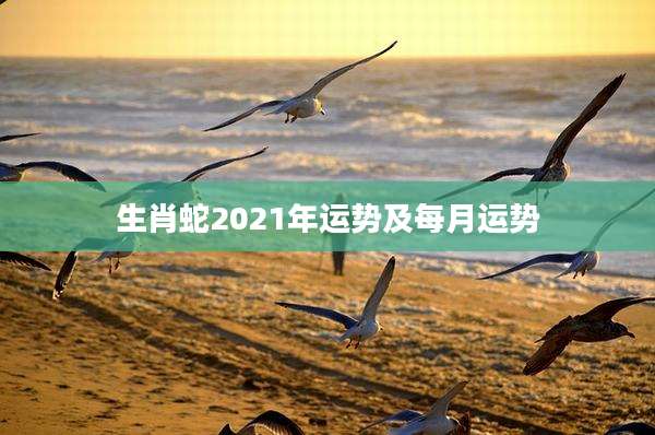 生肖蛇2021年运势及每月运势