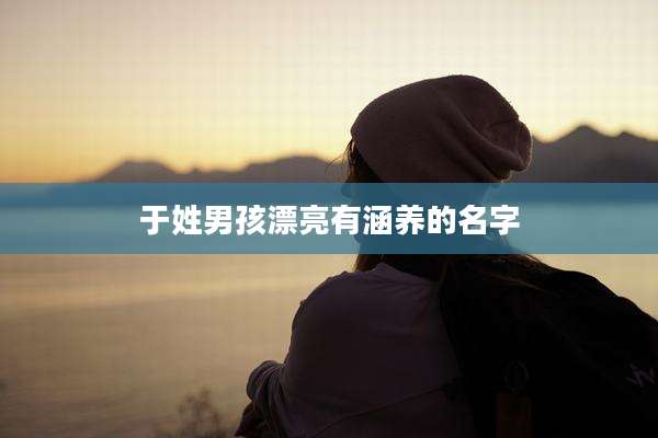 于姓男孩漂亮有涵养的名字