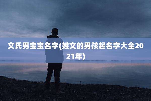文氏男宝宝名字(姓文的男孩起名字大全2021年)
