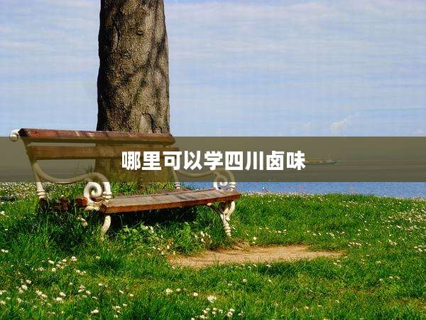 哪里可以学四川卤味