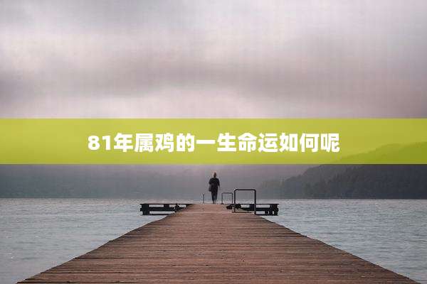 81年属鸡的一生命运如何呢