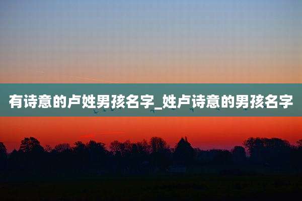 有诗意的卢姓男孩名字_姓卢诗意的男孩名字