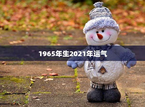 1965年生2021年运气