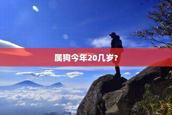 属狗今年20几岁?