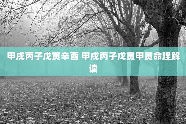 甲戌丙子戊寅辛酉 甲戌丙子戊寅甲寅命理解读