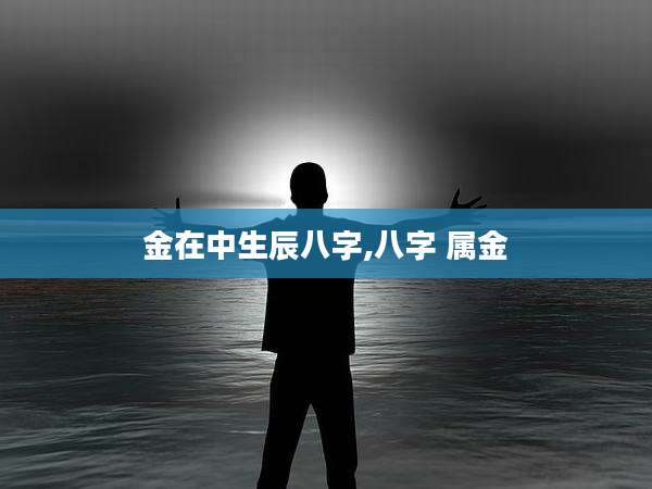 金在中生辰八字,八字 属金