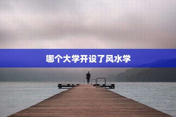 哪个大学开设了风水学