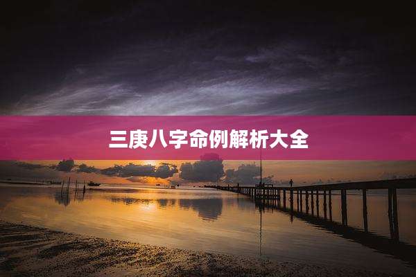 三庚八字命例解析大全