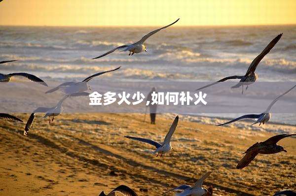 金多火少,如何补火